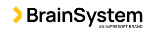 BrainSystem_Identity_2024_B+Y