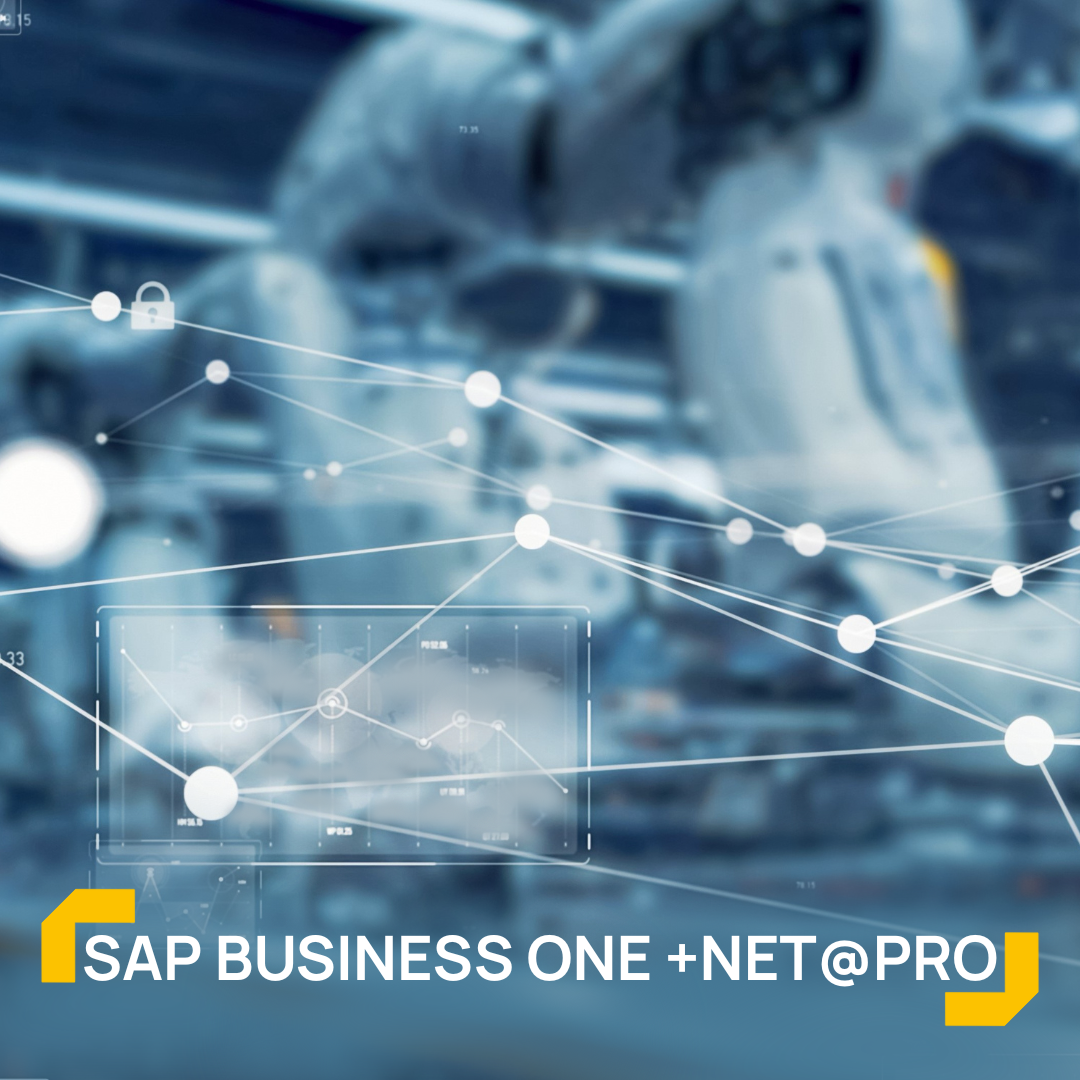 La serie di webinar dedicati al mondo ERP (10)